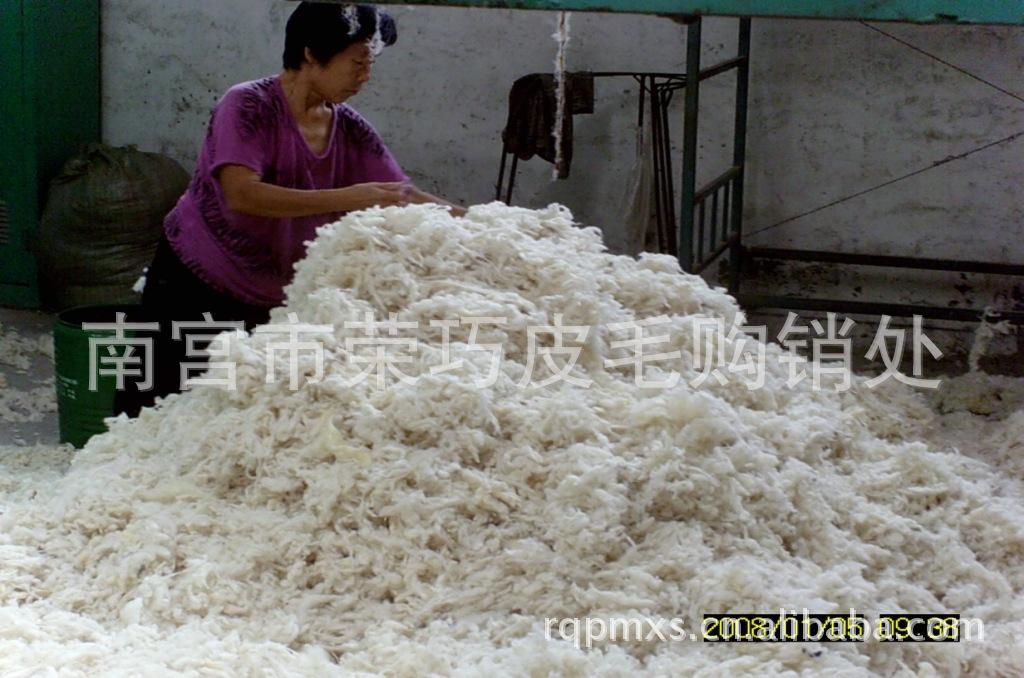 SUNP分检车间