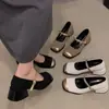 Sapatos Mary Jane Elegantes de Salto Alto Estilo Coreano Francês Fada Outono 2025 Novos Sapatos de Salto Grosso Bico Quadrado Boca Rasa Inspirados em Chanel
