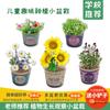 Niños Planta Macetas Pequeñas Plantas en Maceta Hecho a Mano DIY Juguetes de Experimento Científico Niños Pequeños Germinación de Semillas Observación de Plantas Venta al Mayoreo