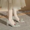 Jin Jin CH60-42 sapatos de casamento com salto grosso bico fino e lantejoulas para mulheres 2024 novos sapatos de camada única primavera e outono sapatos de noiva saltos altos para mulheres