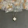Collar de Joyería de Trébol de Cuatro Hojas de Ágata Roja Versión de Alta Gama V-Gold Chapado en Oro de 18K Cadena Exquisita para Clavícula para Mujeres, Estilo de Nicho de Lujo Ligero