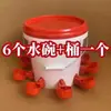 Bebedero Automático para Aves al por Mayor Paloma Pollo Hervidor Nuevo Pato Ganso Alimentación Pollo Bebedero Automático Tazón para Beber