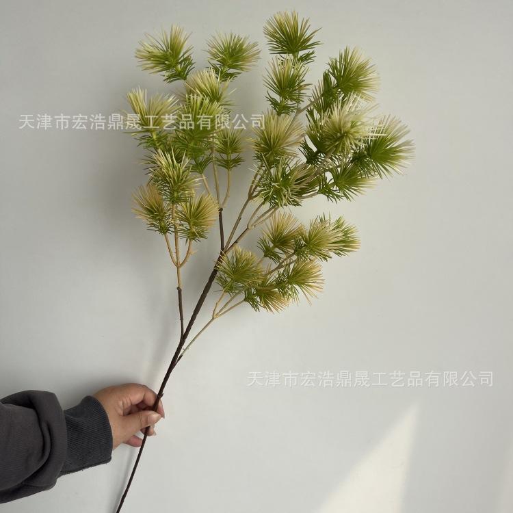 微信图片_20240328092921_副本