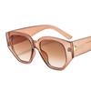 Nuevas gafas de sol de PC con montura grande irregular europeas y americanas para mujer, gafas de sol transfronterizas personalizadas de moda para hombre 9123