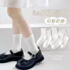 Calcetines para Niñas para Primavera y Otoño, Calcetines de Algodón Peinado Sin Costuras de Tubo Medio, Calcetines Lisos Estilo Coreano para Estudiantes, Calcetines de Moda Clase A