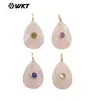 Wt-P2025 Forma Natural de Gota de Agua Piedra Preciosa Zirconia Colorida Incrustada Polvo de Piedra Ojo de Tigre Cristal de Piedra Accesorios Colgantes