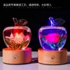 Lámpara de Noche de Manzana de Resina Transparente Artesanía de Cristal Adornos Creativos de Carga Regalo Resina Incrustada con Flores Eternas