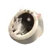 Cuatro estaciones perrera para mascotas gato gigi perrera perrera perrera verano gato villa perrera semi-cerrada suministro directo de fábrica