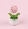 Planta de Tulipán Tejida a Crochet Producto Terminado Hecho a Mano Tejido Simulación Flor Pequeña Decoración para Escritorio de Oficina Adorno Venta al por Mayor