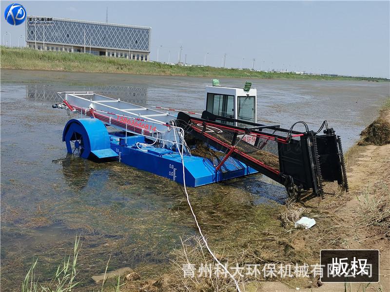 IMG_20200714_112751_副本.jpg