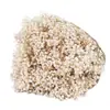Ramo de flores secas Yongshenghua Gimonis base Yunnan cabello liso flor real decoración de boda materiales hechos a mano DIY