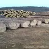 Estabilidad estructural durmientes anticorrosivos para ferrocarril minero material de alerce Estabilidad estructural almohada de aceite anticorrosiva Larga vida