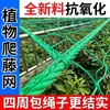 Red de Soporte para Plantas para Maracuyá, Frijoles, Pepinos, Rosas, Melones Colgantes, Lufa, Melón Amargo, Uvas; Malla para Invernadero de Enrejado para Plantas