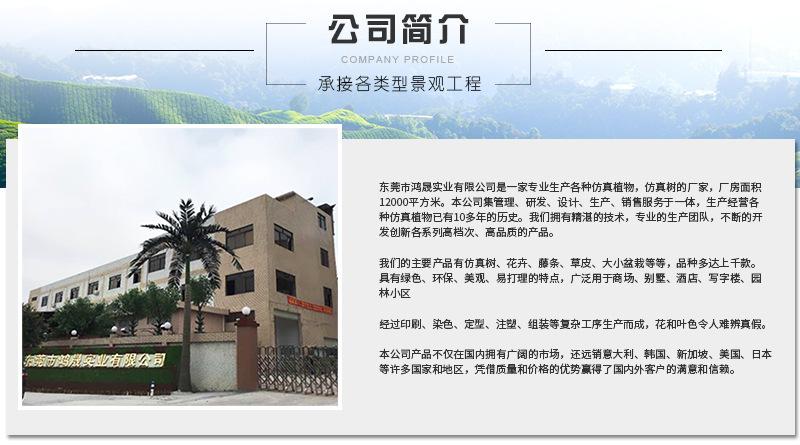 详情_23