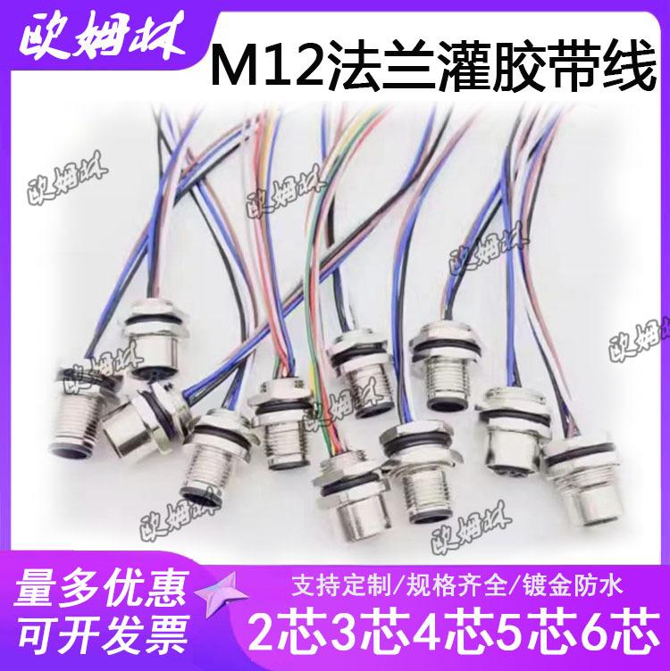 欧姆林M12法兰灌胶带线