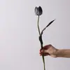 Noche Oscura Estilo Fluido Tulipán Artificial Florero Falso Sala de Estar Estilo Ins Té Negro Arreglo de Flores de Seda Adornos Decorativos