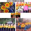 Juegos de girasol en mano Admisión Creativo Girasol Jardín de infantes Escenario Coro Actuación Accesorios de baile de mano