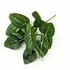Fornecimento Direto da Fábrica de 7 Plantas Verdes Similares de PVC, Estrelas de Rabanete Verde, Folhas Falsas, Presentes, Decoração para Quarto de Casamento, Enfeites Decorativos