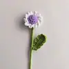 Ramo de Manzanillas y Margaritas de Lana Tejidas a Mano, Terminado, como Regalo para Amigos y Mejores Amigas, Flores Artificiales de Lana Tejidas