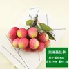 Fruta de Simulación Longan Cadena de Longan Seco Lichi Falso Yangmei Tomate Cherry Modelo de Fruta Tienda de Frutas Decoración de Supermercado Accesorios