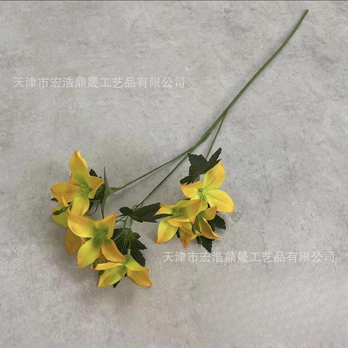 微信图片_20230821113629_副本