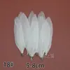 Acessórios para Joias DIY de Pena Branca Pena Branca Pena de Casamento Pena de Ganso Pena de Peru Acessórios Decorativos