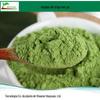 Fábrica de mudas de trigo em pó Suco de mudas de trigo em pó Spot Mudas de trigo Grama em pó Cor solúvel em água Verde