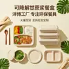 Lonchera biodegradable de caña de azúcar, lonchera desechable de pulpa de papel, caja para ensaladas, caja para sushi para llevar, lonchera para alimentos ligeros bajos en grasa