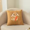 Funda de Cojín de Chenilla Shengdu Bordado de Toalla Dibujos Animados Otoño e Invierno Cojín de Mesita de Noche Cojín Lumbar Decoración Suave Sala de Estar Cojín de Sofá