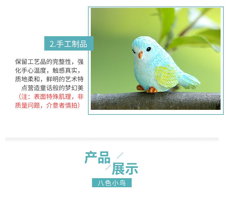 八色小鸟_07