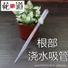 Pajita para regar las raíces de las plantas, hervidor de agua, maceta, herramientas de jardinería
