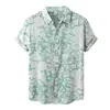 Camisa Havaiana 3D Masculina Europeia e Americana Transfronteiriça da Amazon Camisa Casual Tendência Masculina de Manga Curta