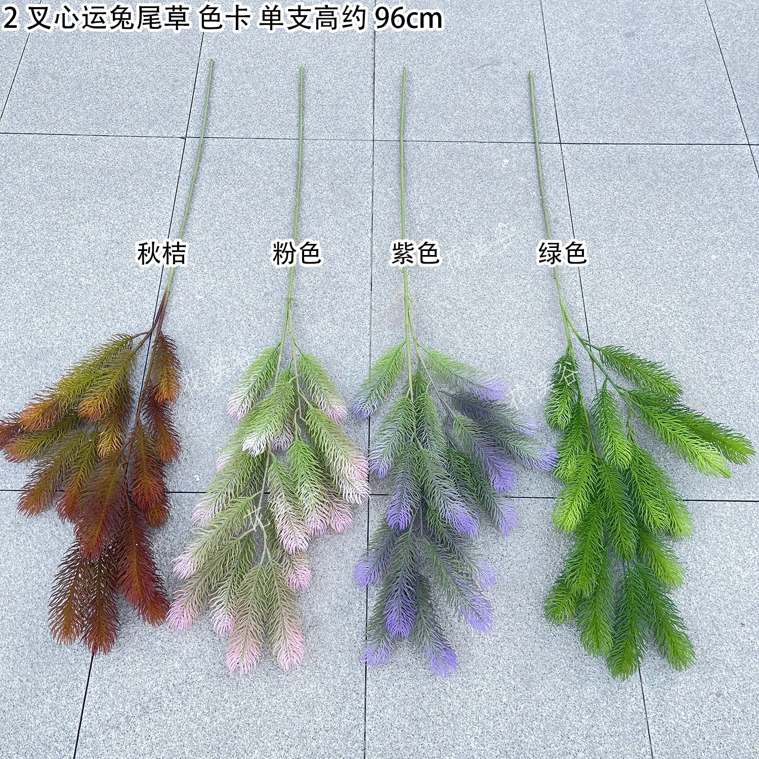 2叉心运兔尾草 色卡 花溪谷.jpg