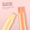 Comercio exterior transfronterizo OCHEAL aceite labial hidratante de aguacate que cambia de temperatura juego de bálsamo labial para el cuidado de los labios
