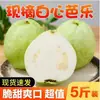 Guayaba Blanca de Corazón de Guangxi, Fruta Fresca de Temporada, Adecuada para Mujeres Embarazadas, Especial para Tiendas de Té de Frutas y Tiendas de Bebidas, Suave, Pegajosa y Dulce