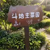 Estaca de Madera Maciza Grabada Señal de Estaca de Madera para el Suelo Señal para Jardín de Verduras al Aire Libre Área de Plantación de Jardín de Infantes Señal de Advertencia Planta Flor Hierba Señal de Identificación