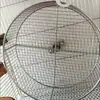 Rueda para ardillas, amoladora silenciosa de uñas y dedos para petauros del azúcar, marmotas, chinchillas, erizos y otras mascotas grandes