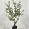 Árbol de Eucalipto Estilo Nórdico Sostiene Plantas Artificiales para Decoración de Hogar y Hotel Interior y Exterior Adornos