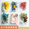 Pacote de Material DIY de Flores Eternas Mistas Secas Flor Real Natural Seca ao Ar Vela Leque Porta-Retrato Caixa de Flor Seca