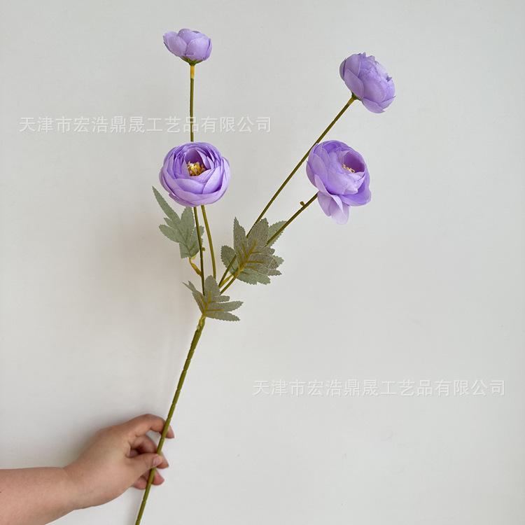 微信图片_202305251520411_副本