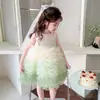 Vestido de Pastel Degradado Estilo Coreano para Niñas 2026 Verano Nuevo Malla de Comercio Exterior Vestido de Princesa Ropa Infantil Al por Mayor