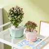 Maceteros Pequeños para Balcón y Uso en Interiores, Macetas de Plástico para Plantas Verdes, Phalaenopsis, Suculentas, Directo de la Fábrica Fuente, Platos, Jardinería, Venta al por Mayor para Exteriores