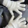 Moda Outono e Inverno Luvas Quentes de Pelúcia com Dedos Inteiros Material de Pelo Sintético de Visão Nova Estilo Coreano Luvas Quentes Espessadas com Forro de Lã
