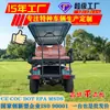 Exportación de Carritos de Golf Transfronterizos para Parques, Zonas Turísticas, Hoteles, Turismo, Off-Road y Uso en la Playa; Carritos de Golf Eléctricos