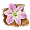 Simulación de pequeña cabeza de flor de lirio, película de impresión 3D, simulación de flor de lirio, caja de regalo DIY, horquilla, tocado, zapatos, flor al por mayor