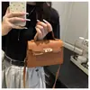 Textura de Color Sólido Nuevo 2025 Simple Casual Hebilla de Cierre Estilo Coreano Nuevo Casual Bolso Pequeño Cuadrado de Hombro Cruzado de Mano para Mujer