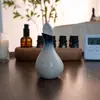 Botella de Perfume, Recipiente para Aceites Esenciales, Cuenco para Aceites Esenciales, Botella de Aceite Esencial con Forma de Hoja, Bandeja de Madera, Herramientas de Masaje para Spa, para Uso en Salones de Belleza