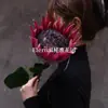 Série Vermelha, Cor Vermelho Verdadeiro, Estilo Popular de Desfiles de Moda, Flores Artificiais: Hortênsia, Lírio, Lírio-do-vale, Peônia, Rosa, Andorinha, Papoula