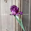 Antorcha de una cabeza Iris simulación irlandesa dispositivo de aterrizaje escena viento natural accesorios de disparo floral atuendo suave