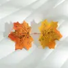 Hojas de Arce Simuladas de Alta Calidad A2, Hojas Caídas de Color Otoño, Hojas Falsas para Exhibiciones de Bodas, Accesorios para Fotos y Materiales de Decoración Hechos a Mano